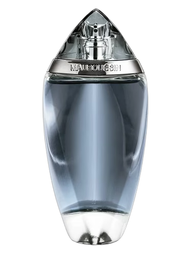 Mauboussin Homme
