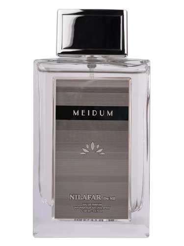 Meidum