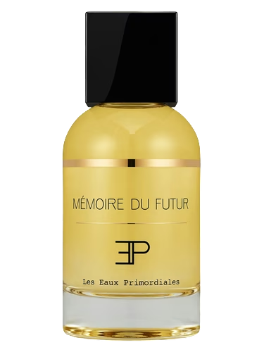 Memoire du Futur