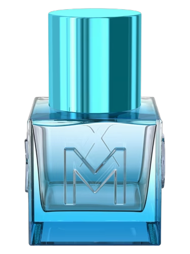 Mexx Festival Splashes Men