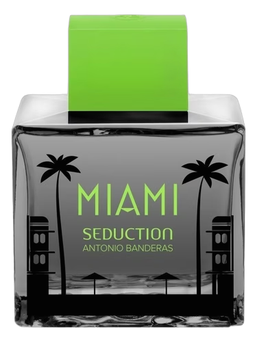 Miami Seduction In Black