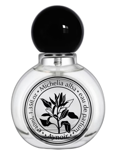 Michelia Alba 白兰