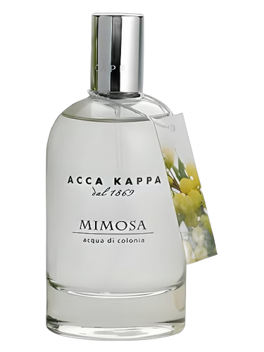 Mimosa