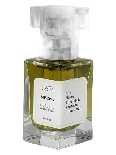 Mimosa