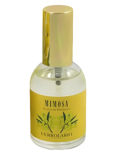 Mimosa
