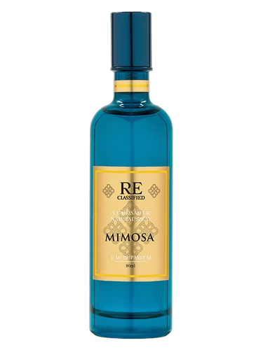 Mimosa 含羞草