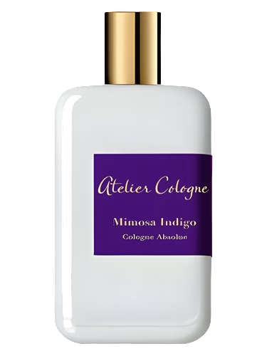 Mimosa Indigo