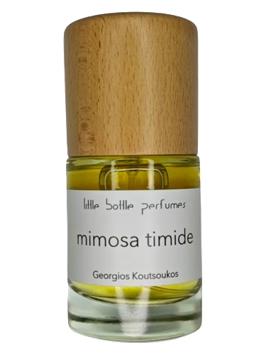 mimosa timide