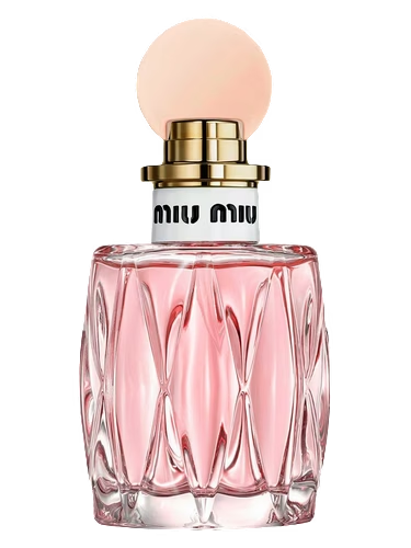 Miu Miu Rosee