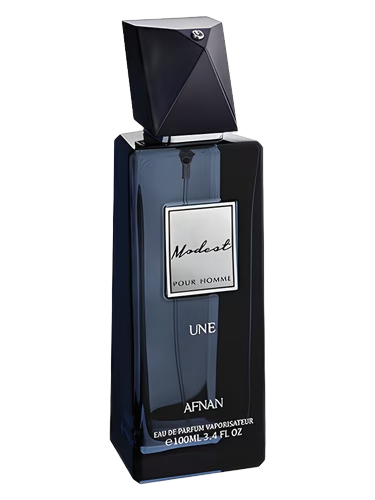 Modest Pour Homme Une
