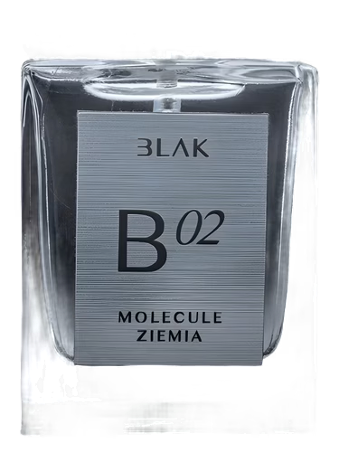Molecule Ziemia B 02