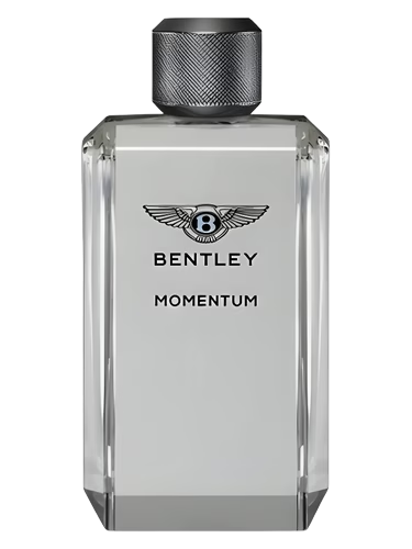 Momentum
