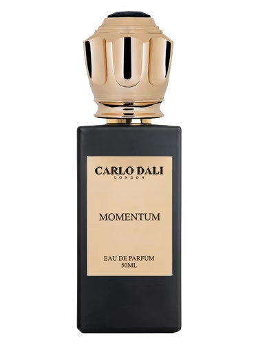 Momentum