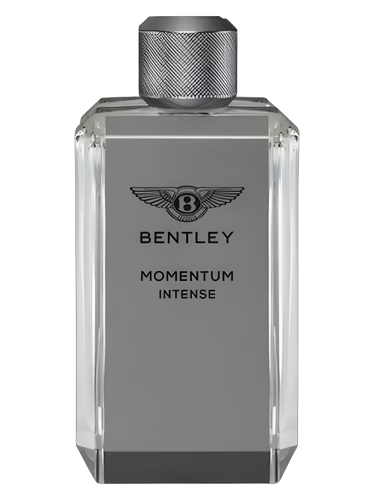 Momentum Intense