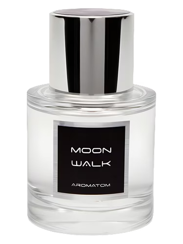 Moon Walk