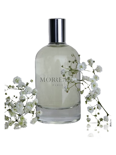 Morreale Pour Homme