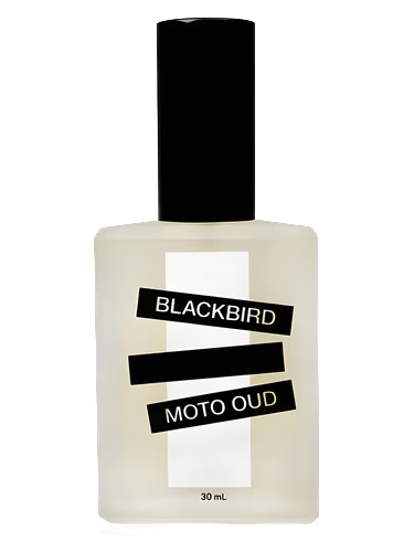 Moto Oud