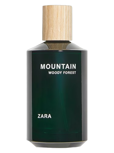 Mountain Woody Forest