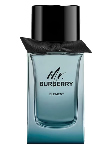 Mr. Burberry Element