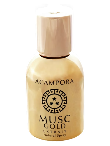Musc Gold – Extrait de Parfum