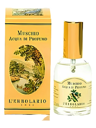Muschio