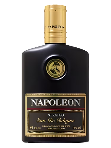 Napoleon Strateg