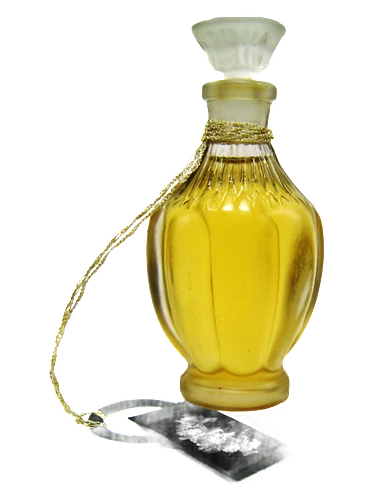 Narcisse Dark