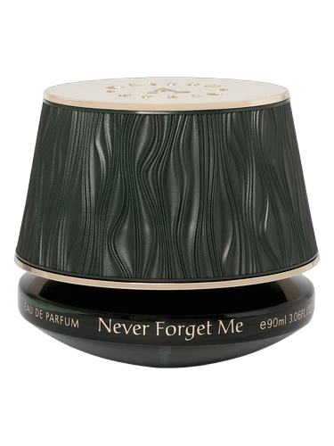 Never Forget Me
