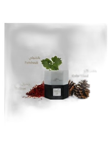 Niche 3 by Reef Perfumes