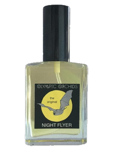 Night Flyer