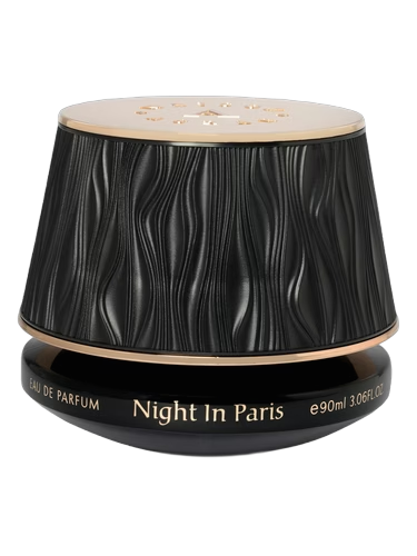 Night In Paris