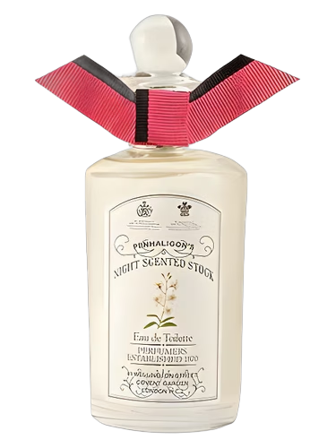 Night Scented Stock