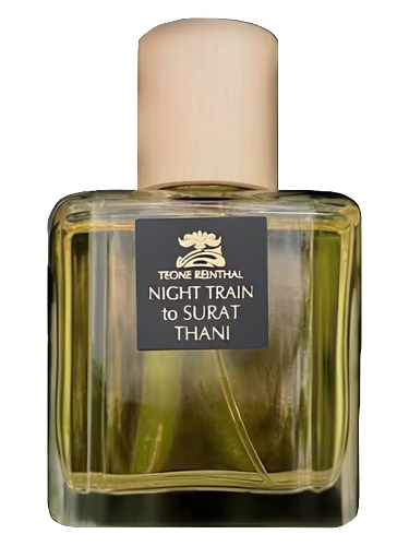 Night Train to Surat Thani