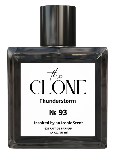 No. 93 – Thunderstorm