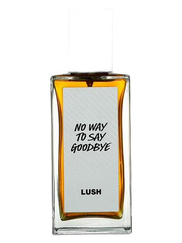 No Way To Say Goodbye