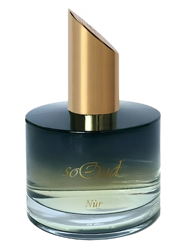 Nur