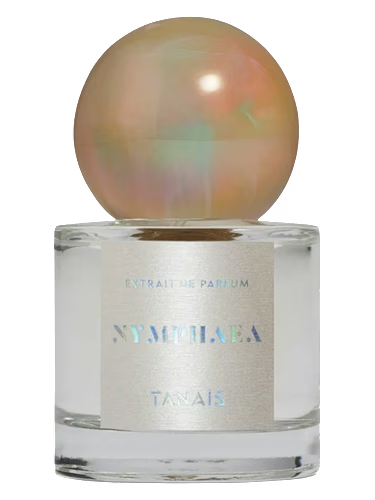 Nymphaea