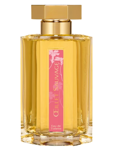 Oeillet Sauvage