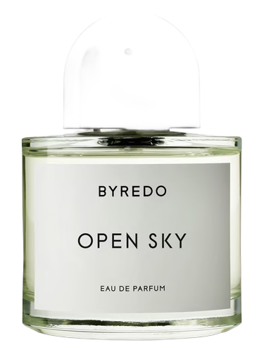 Open Sky