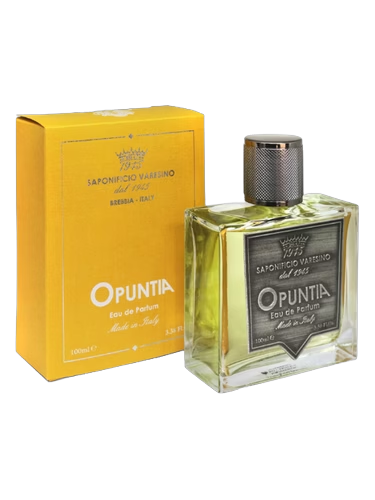 Opuntia