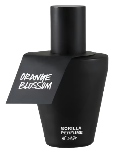 Orange Blossom