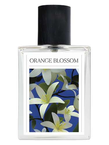 Orange Blossom