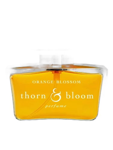 Orange Blossom
