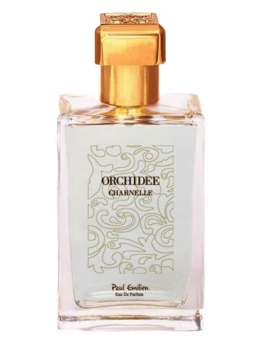 Orchidée Charnelle