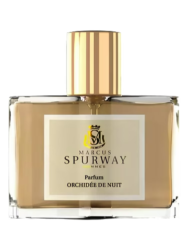 Orchidée de Nuit