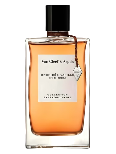 Orchidée Vanille
