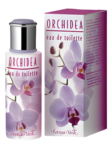 Orchidea