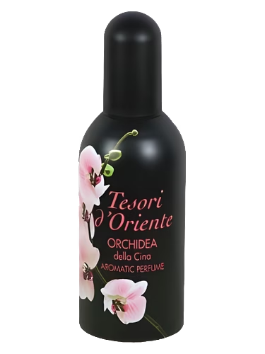 Orchidea della Cina