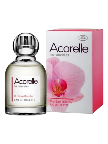Orchidee Blanche