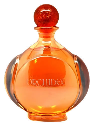 Orchidee